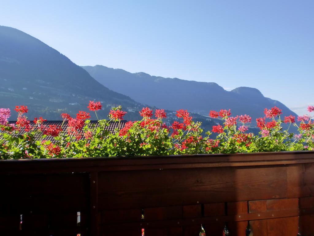 Appartments Innerhofer Rifiano Dış mekan fotoğraf