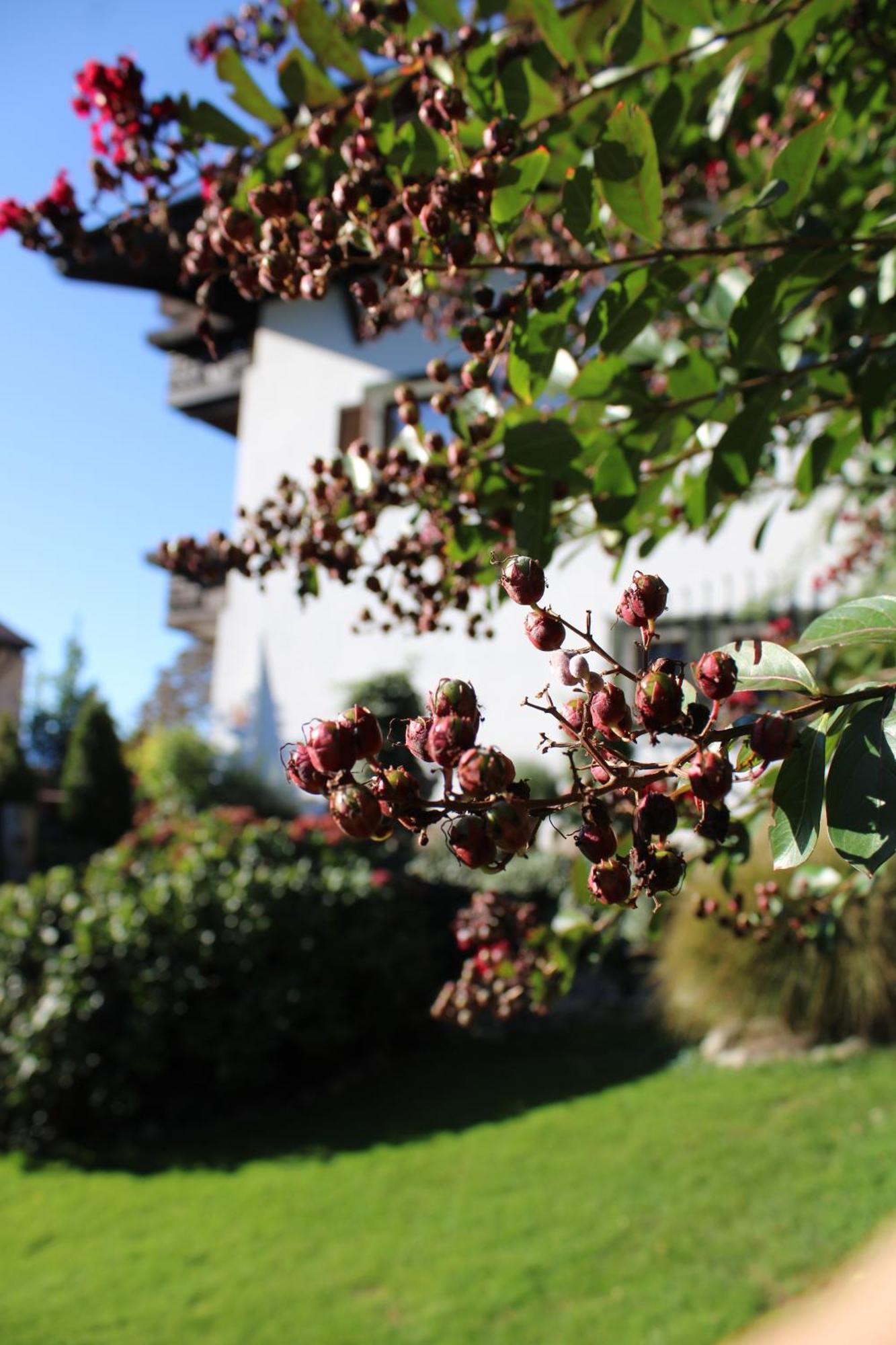 Appartments Innerhofer Rifiano Dış mekan fotoğraf