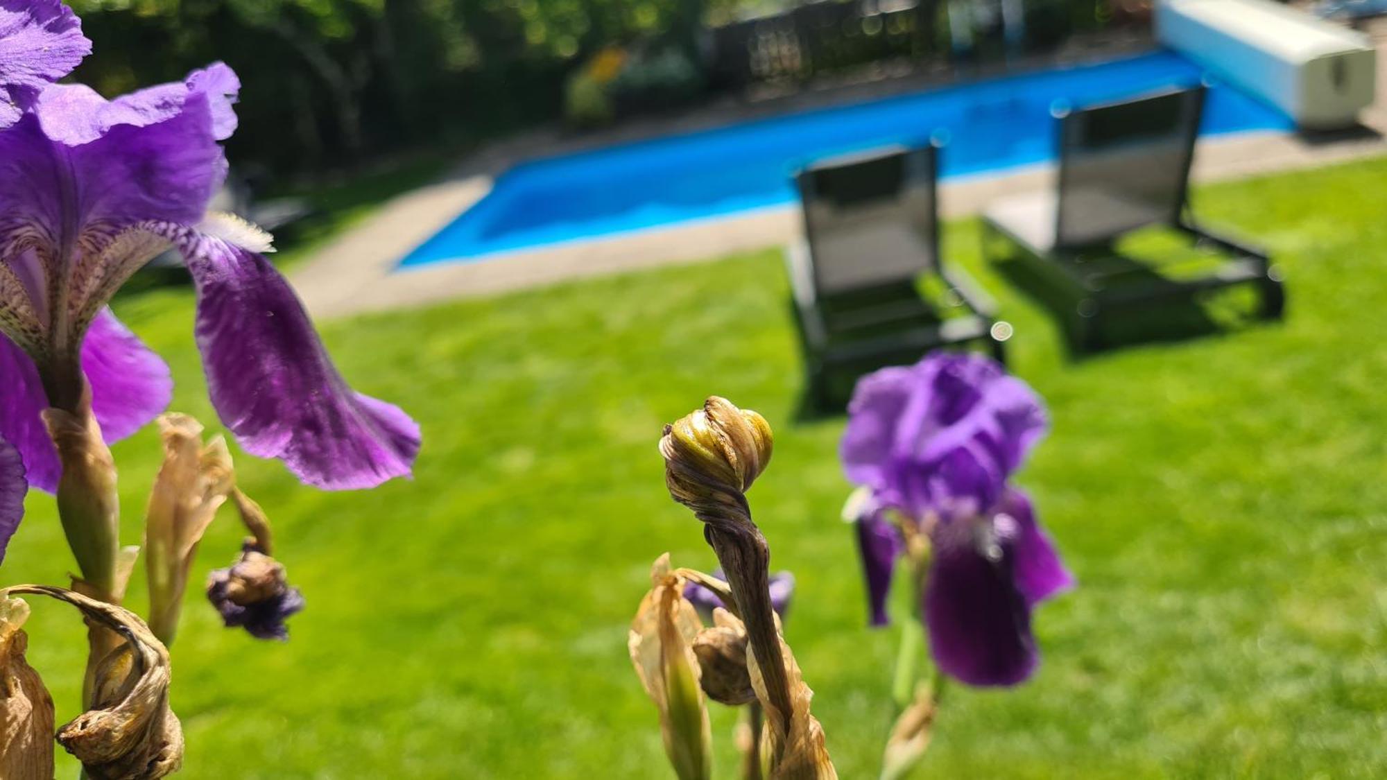 Appartments Innerhofer Rifiano Dış mekan fotoğraf